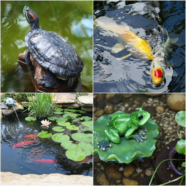 záhradné jazierko-rada-postaviť-si-zvieratá-dekorácia-žaba