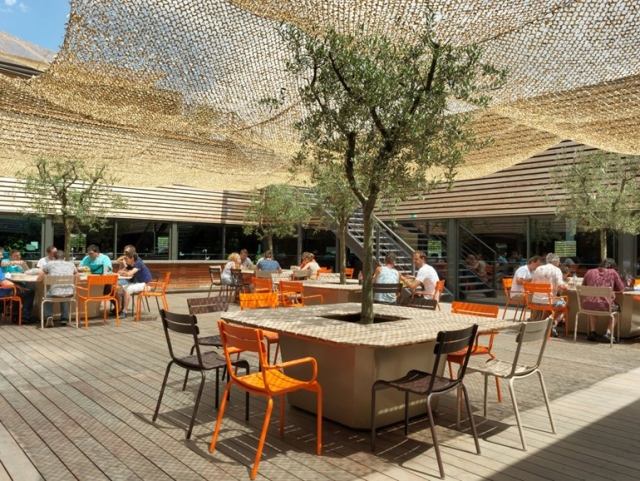 záhradný stôl kreatívne inovatívne nápady hľadajú strom v strede