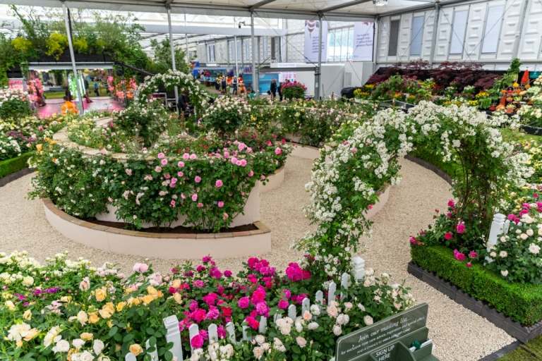 Okrúhle tvary do postelí s ružami v mnohých farbách