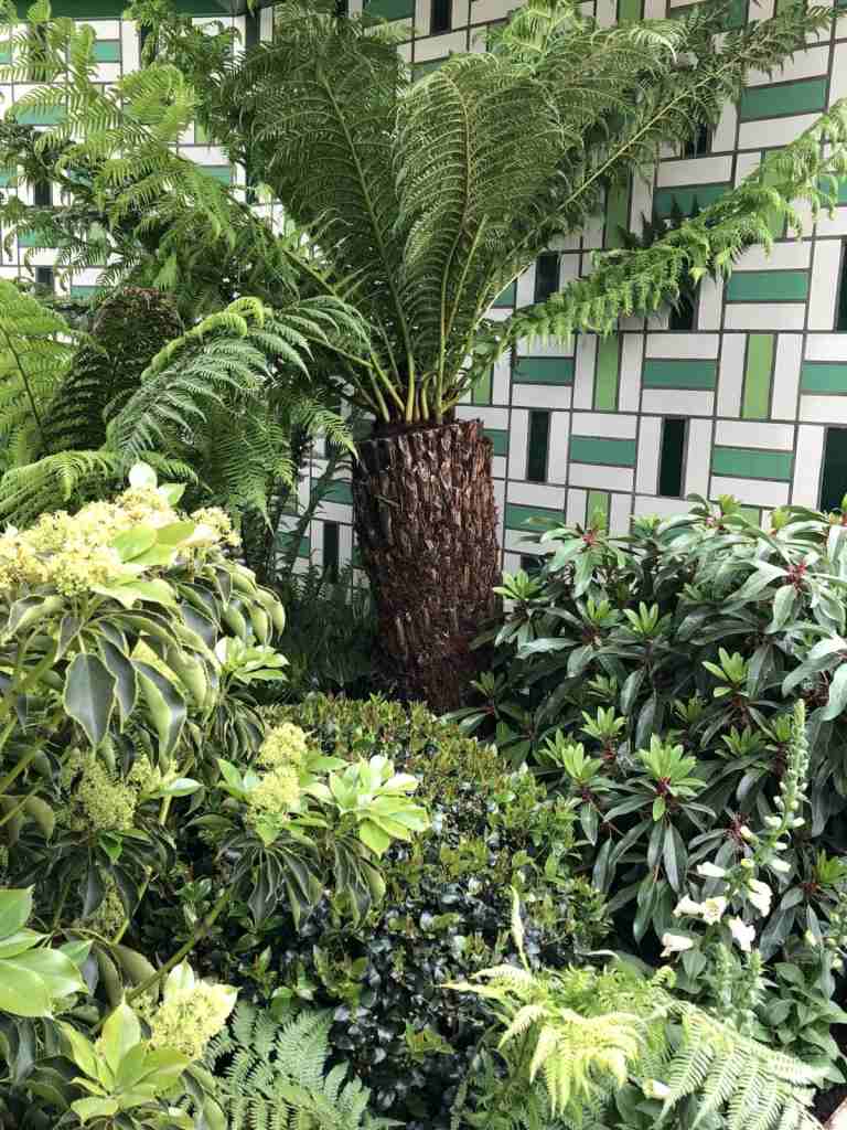 Myšlienka záhradného dizajnu s exotickým nádychom - nerozrezané knihy a kríky