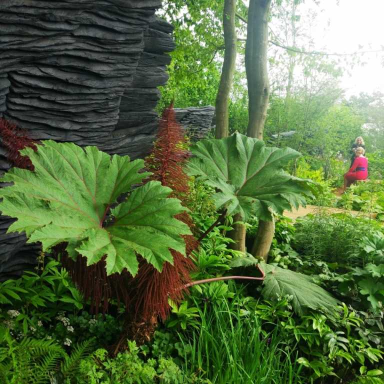 Veľa zelene ako záhradný trend 2019 pre prírodný záhradný dizajn