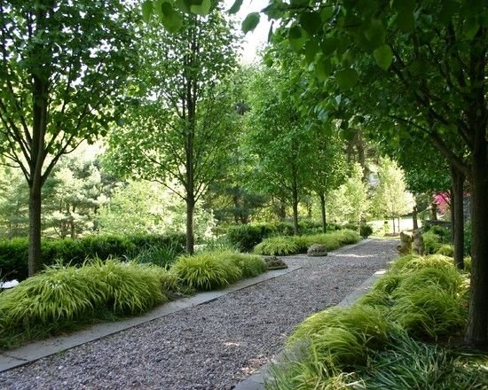 cesta so štrkom položeným stromovým tieňom záhradná cesta