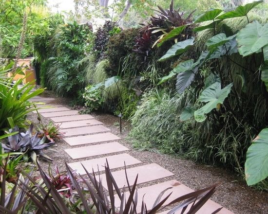 zelená stena nápady na ochranu súkromia, záhradné odrazové mostíky