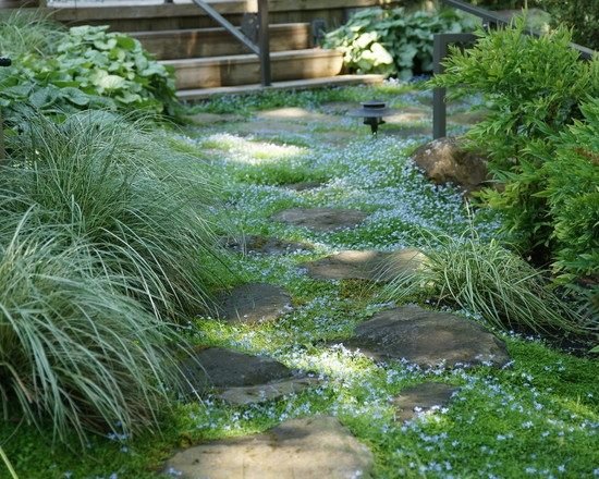 zarastený záhradný chodník kamene záhradný dizajn