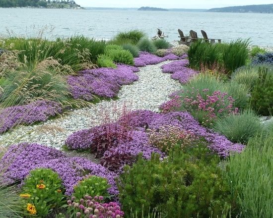 Návrhy na dizajn divokej záhrady Záhradné chodníky lemujúce viacročné stromy