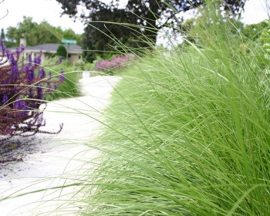 zarastená záhradná výsadba druh-kríky trvalky záhradné chodníky