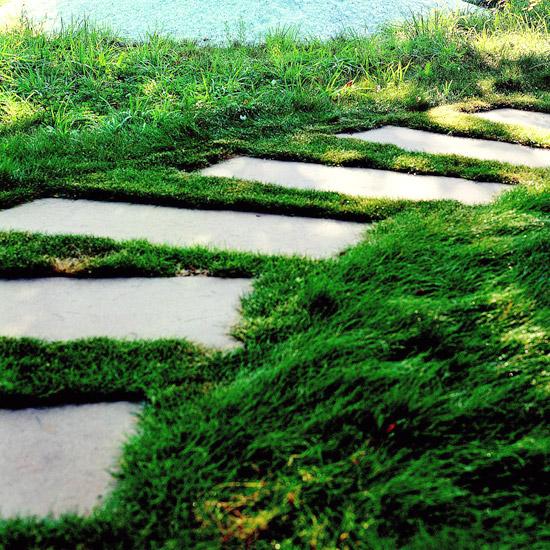 Na trávnik položte kamenné dosky Tipy na položenie trávnatej dosky