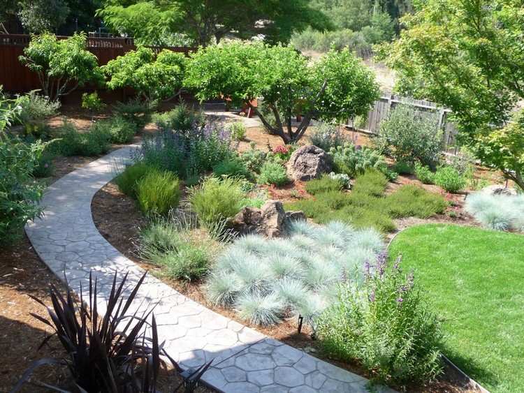 Rastliny do skalky modrá kostrava modrá-štrková posteľ-chodník-betón