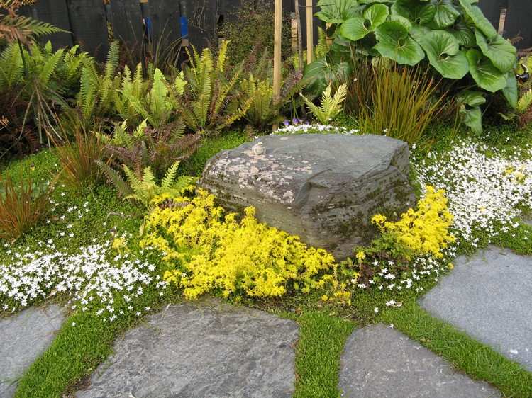 žltý kvitnúci pôdny kryt využitie v záhrade