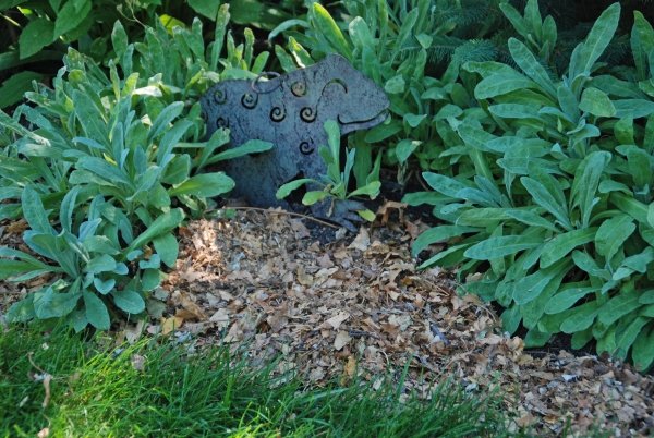 úspora vody záhradný mulč zabráňte odparovaniu vody ušetriť vodu záhradný mulčovanie odparovanie vody vlhkosť