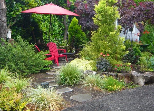 zachrániť vodu záhradný slnečník trávy kríky vodná záhrada slnečník trávy kríky