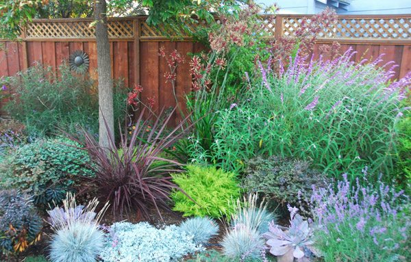 tipy na úsporu vody šetria v záhrade tipy na druhy rastlín Šetrite vodou v záhradách tipy pre typy rastlín