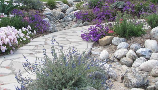 skalky tolerantné k suchu šetria vodu skalka odolná voči suchu šetrí vodu