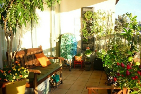 Balkónová záhrada uprostred starostlivosti o veľkomesto uprostred zelenej oázy starostlivosti o veľkomesto