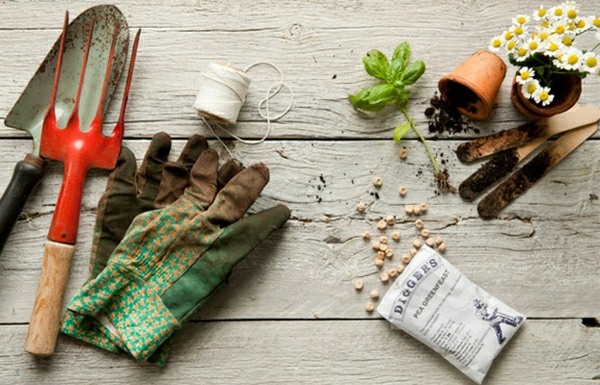 Záhradný plán balkónové kvety bylinky výsadba harmančeka Kvety bylinky výsadba harmančeka hobby záhradník