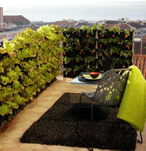 Záhradný balkón kolmý proti zeleninovému šalátu vertikálna záhrada proti odrodám zeleninových šalátov