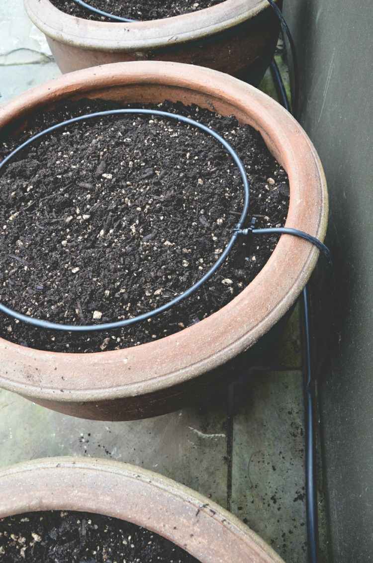 zalievanie odkvapkávacia hadica záhrada pomoc terakotová kvetináčová zelenina