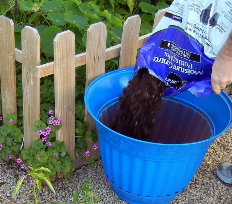 modrý kvetináč zemina zelenina živiny plot drevené kvety