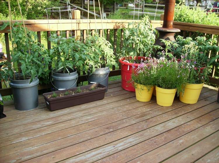 tvar kvetináče žlté sivé vedro terasa balkón zelenina