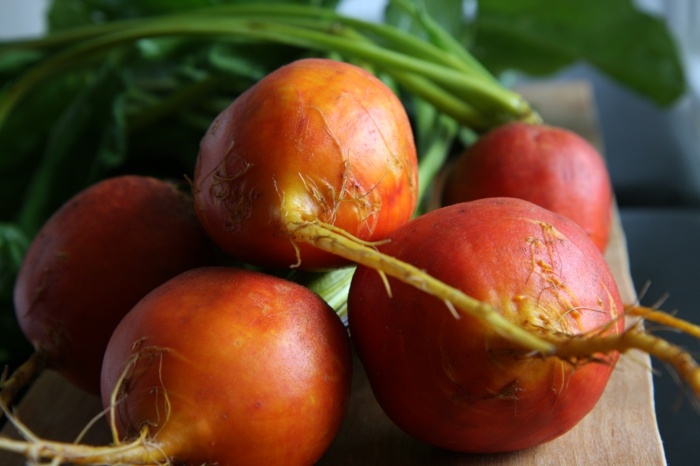 modlite sa pomarančová zelenina koreňová záhradná zeleninová náplasť