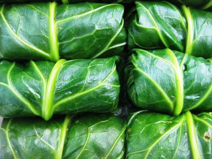 záhradné tipy jedlo plnený kapustný list šalát