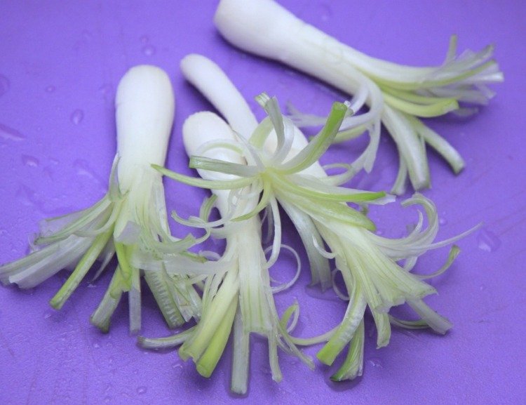 Zeleninový nápad - nakrájajte dlhú cibuľu na strapce rezba zeleniny cibuľa lemovanie dizajn zdravá výživa deco