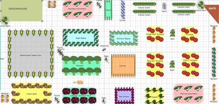 ideový plán správneho miesta pre rôzne druhy zeleniny - príklad Zelenina-záhrada-plán-vytvoriť-plán-správne-miesto-zelenina-odrody-schéma
