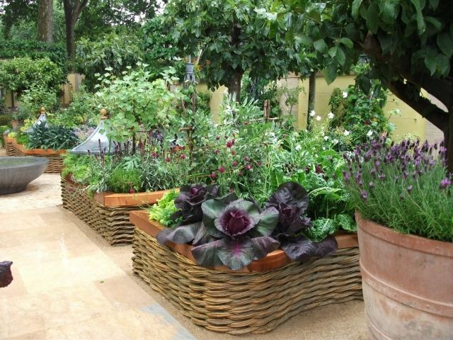 plánujte tipy na zeleninovú záhradu plánovať zeleninovú záhradu vytvoriť vyvýšené druhy rastlín