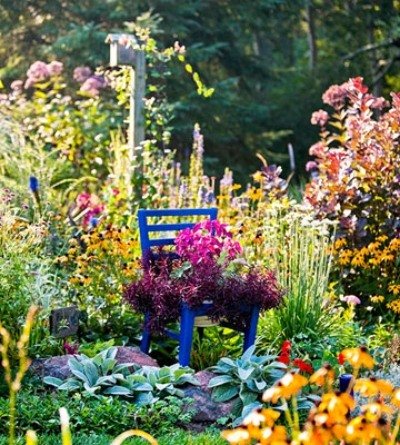 Nápady na prilákanie vtákov do záhradného úkrytu