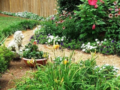 Zabezpečené nápady na prilákanie vtákov do záhrady