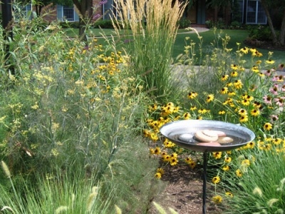 nápady na zariadenie na vábenie záhrad pre vtáky