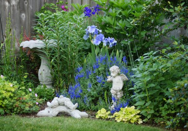 nápady pre záhradu vtákov lákajú jednoduché tipy