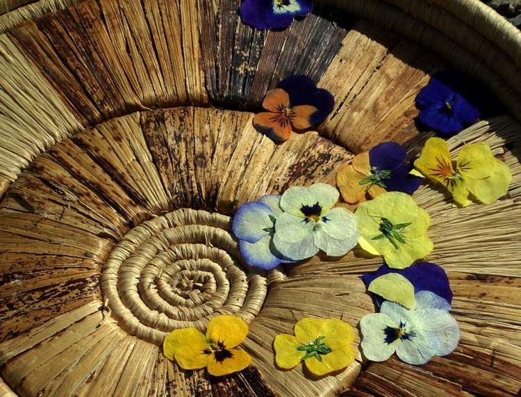 lisované kvety sušené-tipy-záhradné-prírodné-materiály