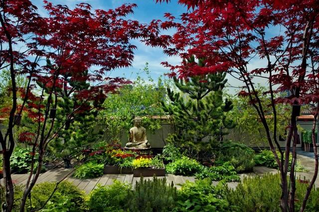 Drevené okrasné stromy strešná terasa buddha zábradlie okrasné trávy podlahy