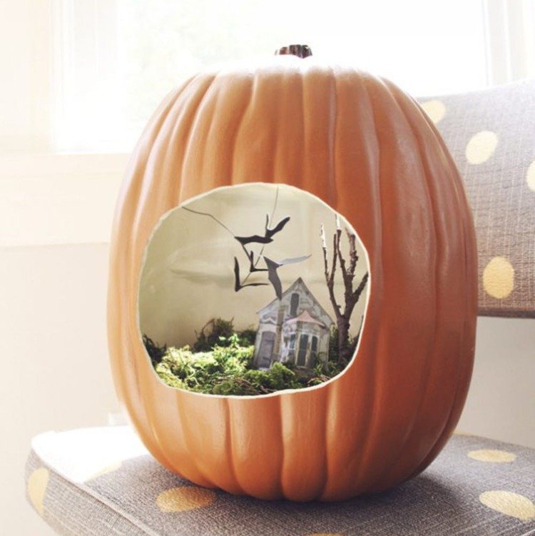 Vystrihnite konzerváciu tekvice