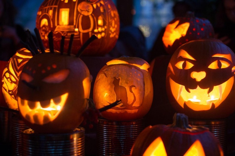 Tekvicová konzerva vystrihnúť špičky mačacej hlavy