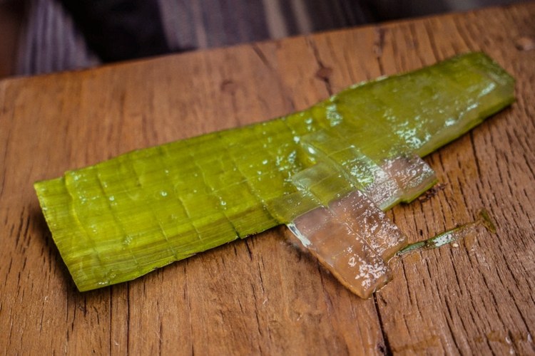 Vyrobte si masky na tvár aloe vera gélový melón