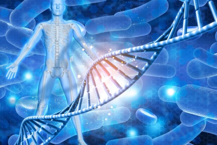 dna v ľudskom tele a vývoj kostí a mikrobiómu