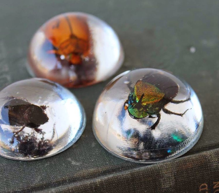 Liate živicové šperky s nápadne pripraveným hmyzom Odlievaná živica-šperky-urob si sám-návod-hmyz-okrúhle prívesky% cc% 88nger-chain