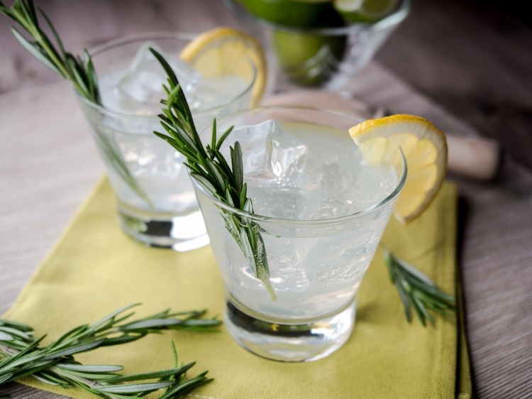 Recept na gin a tonikum-rozmarín-citrón
