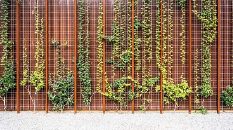 Popínavá liana z ocele Corten v modernom záhradnom dizajne záhradná výzdoba-šplhavé úponky-popínavé rastliny-corten oceľ-mriežka-záhradný-dizajn-moderný