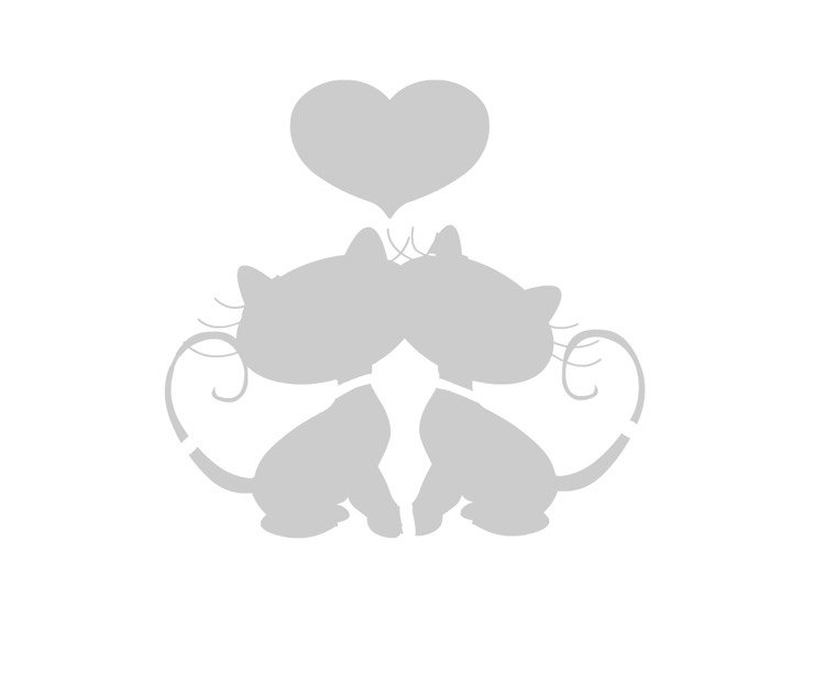 maľba na sklo-šablóna-zamilované mačky