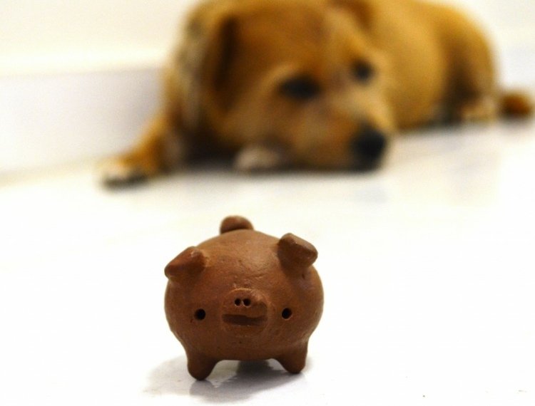 Šťastné prasa vyrobené z hliny šťastie kúzla drotár na Silvestra prasa hlina nápad postava dekorácia