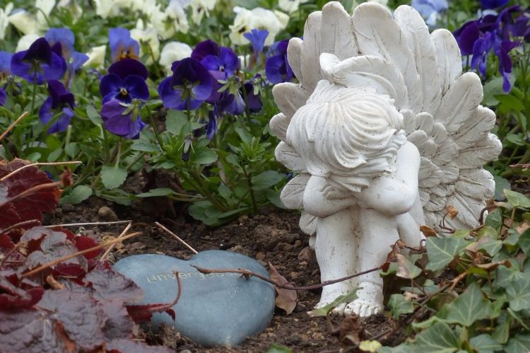 výsadba hrobov-na jeseň-nápady-zodpovedajúce-kvety-fialky