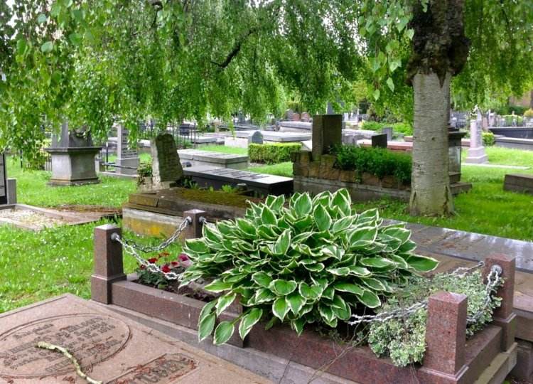 Prezrite si nápady na dizajn so sviežimi zelenými rastlinami nápady-hrob-dizajn-zelené-rastliny-bujné-kríky-lemovanie-hrobu