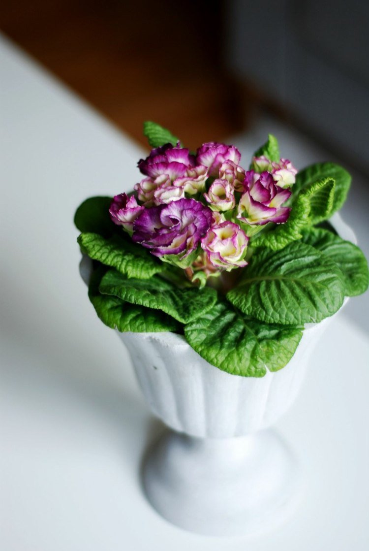 Hrobový dizajn so zdobenými vázami a kvetináčmi Hrobový návrh-hrobová výzdoba-kvetináč-rastliny-cintorín-kvety