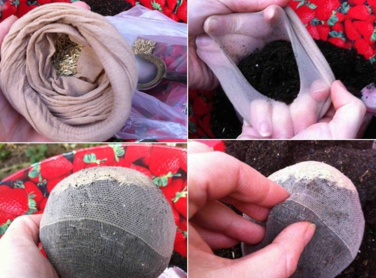 Tinkerová tráva s pančuchou, zeminou a semenami trávy