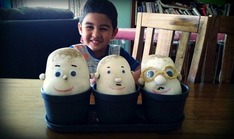 Vyrobte si trávnaté hlavy sami vatou namiesto zeme