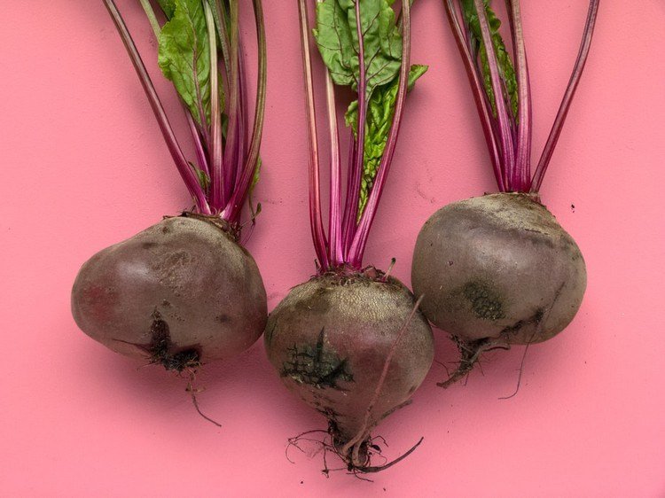 Farbite sivé vlasy prirodzene Domáce prostriedky Vyrobte si repné farbivo na vlasy sami