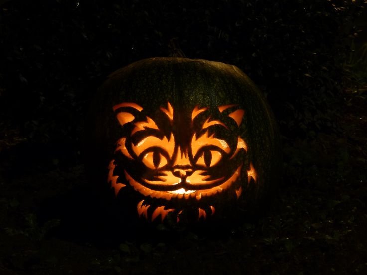 Cheshire Cat Tekvica Tim Burton Charakter realistický